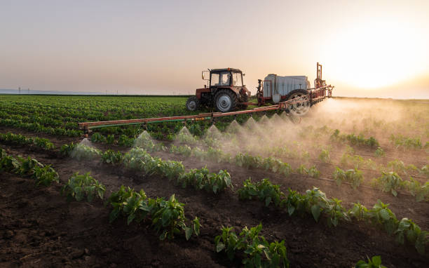 Pest Prevention Services in West Whittier Los Nietos, CA