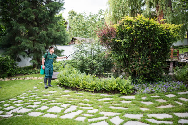 Best Best Pest Control Companies  in West Whittier Los Nietos, CA