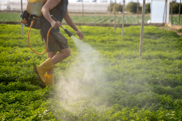 Best Exterminator Services  in West Whittier Los Nietos, CA