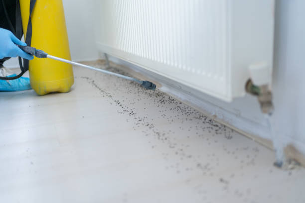 Best Wildlife Control Services  in West Whittier Los Nietos, CA